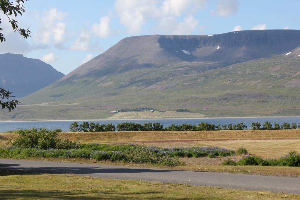 The Guesthouse By The Fjord Thingeyri Buitenkant foto